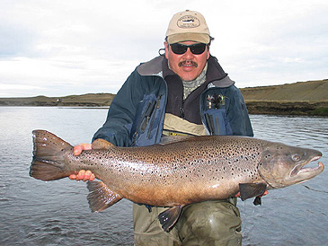 Record photograph for Salmo trutta trutta